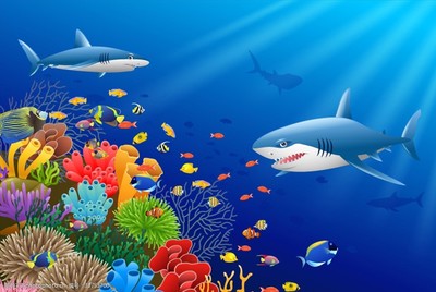 探秘藍色藥庫 海洋生物在醫(yī)藥領(lǐng)域的技術(shù)開發(fā)與應(yīng)用前景