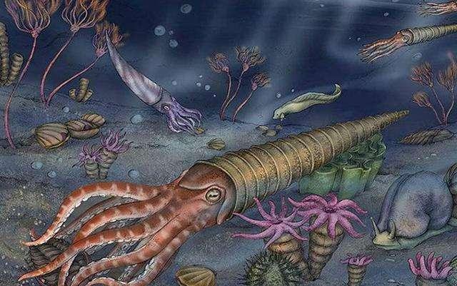 泥盆紀(jì)化石寶庫重現(xiàn)貴州，83種遠古海洋生物揭示生命演化與醫(yī)藥研發(fā)新曙光