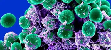 合成生物技術(shù) 美陸軍醫(yī)藥領(lǐng)域研發(fā)的戰(zhàn)略新焦點(diǎn)